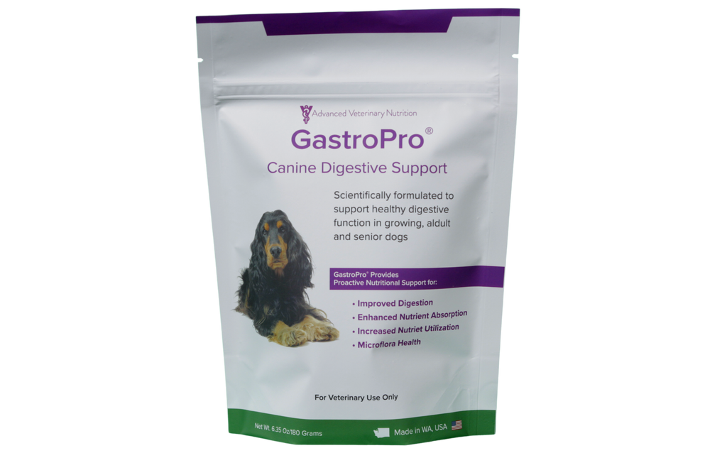 AVN GastroPro