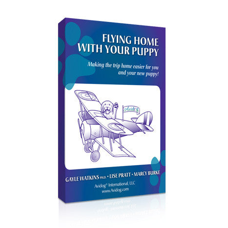 Flying Home With Your Puppy