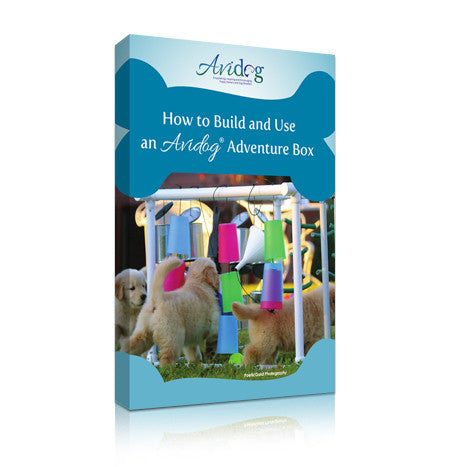 How to Build and Use an Avidog Adventure Box